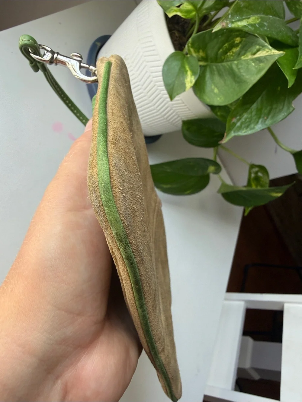 Coach Tan Suede Wristlet with Green Trim